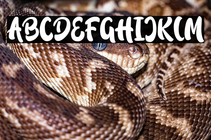 Rindu Ghisel Example 2