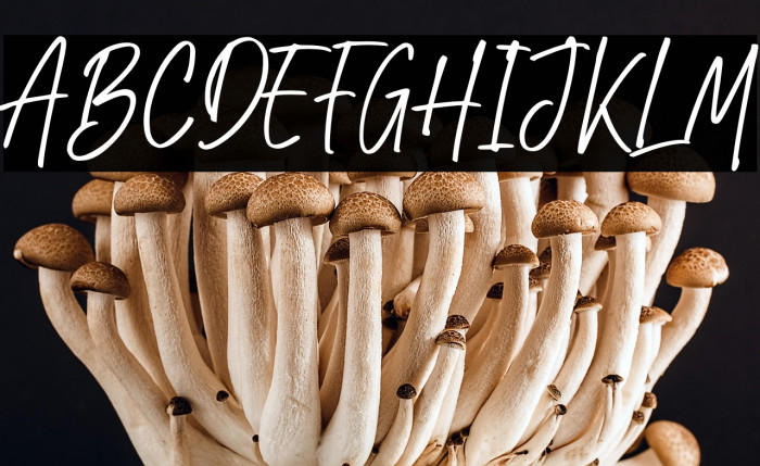 Rindu Mimpi Example 1