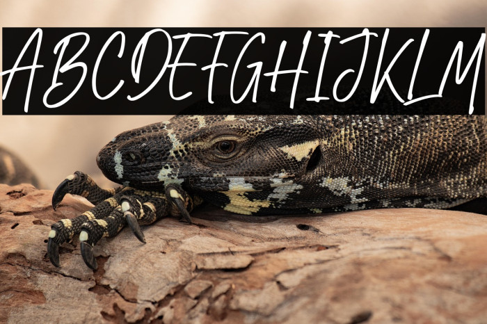 Rindu Mimpi Example 2