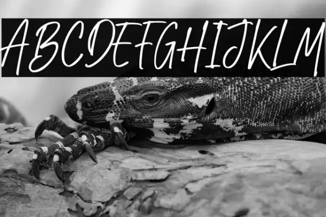 Rindu Mimpi Font examples