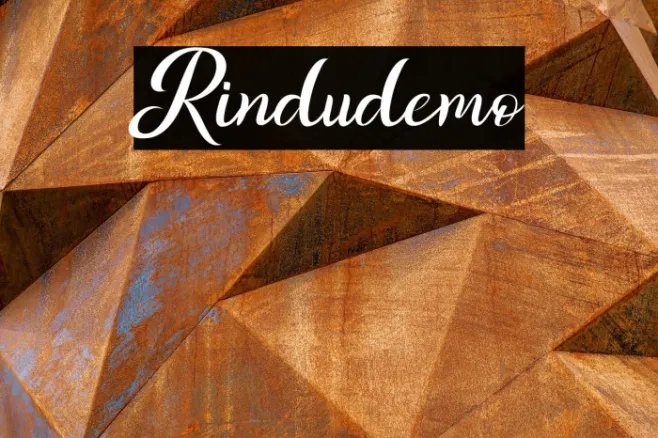 Rindudemo Example 1