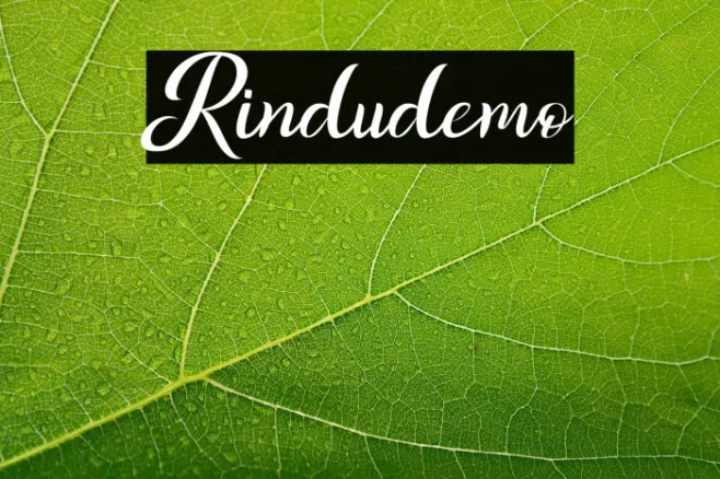 Rindudemo Example 2