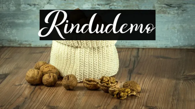 Rindudemo Example 3