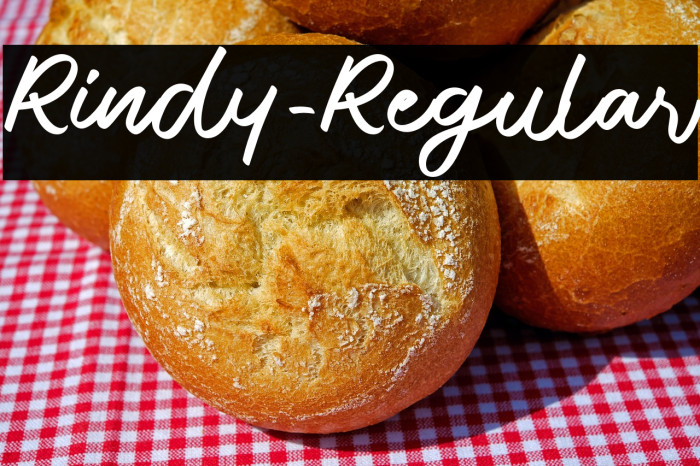 Rindy-Regular Example 2