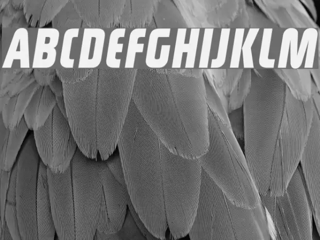 Rinehart Bold-Oblique Font examples