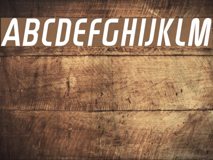 Rinehart Oblique Font examples