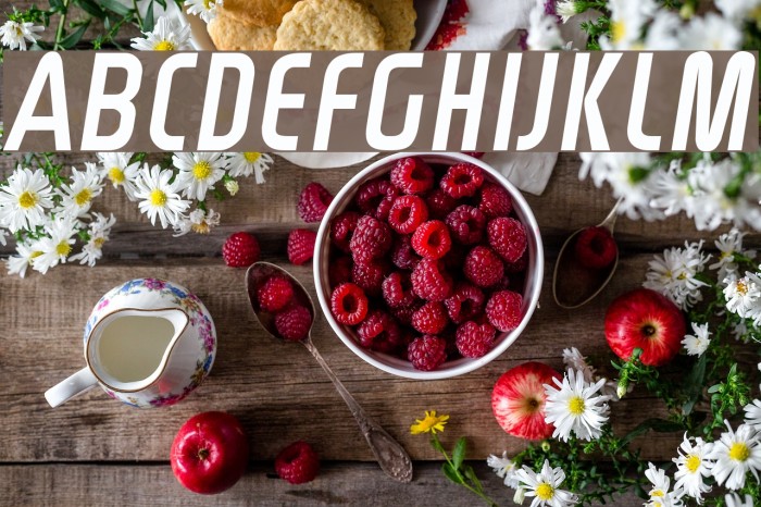 Rinehart Oblique Font examples