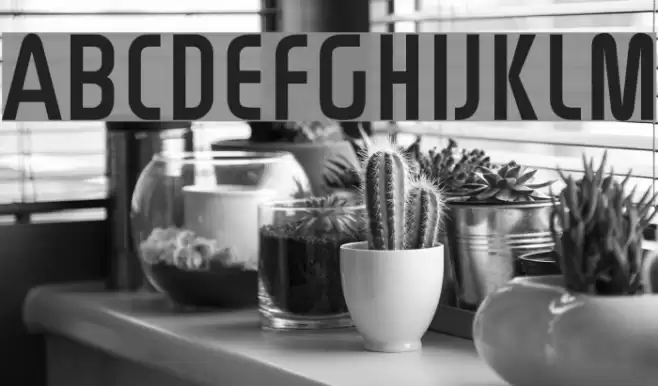 Rinehart Font examples