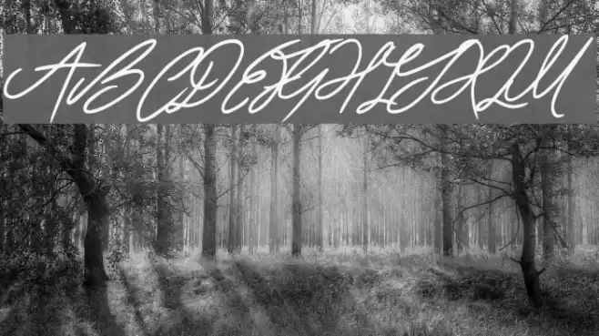 Ring Master Font examples