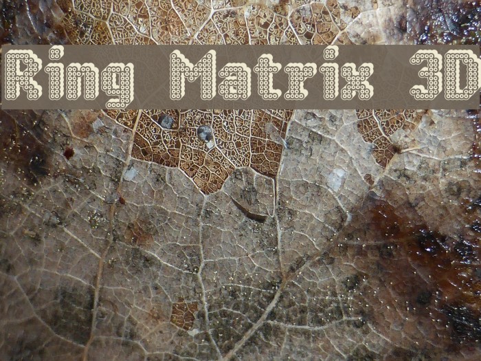 Ring Matrix 3D Font examples