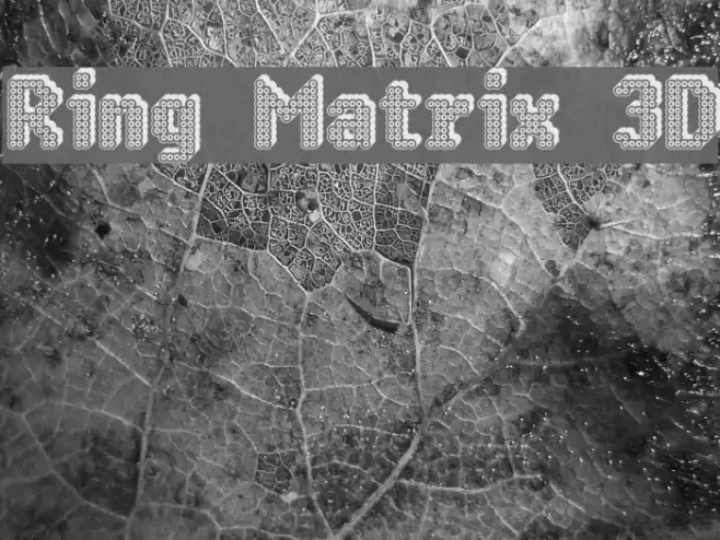 Ring Matrix 3D Caratteri examples