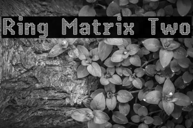 Ring Matrix Two Font examples