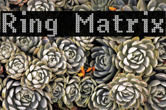Ring Matrix Font examples