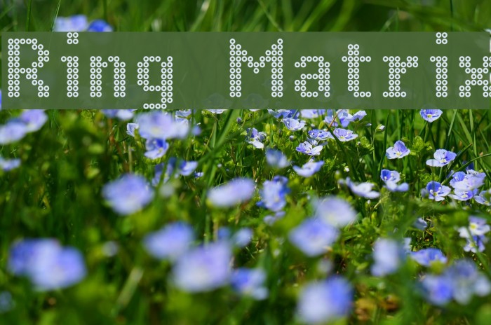 Ring Matrix Font examples
