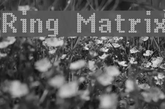 Ring Matrix Fonte examples