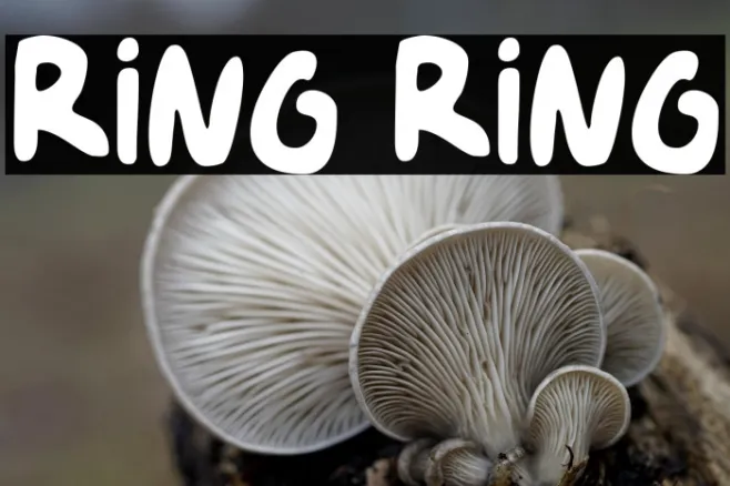 Ring Ring Example 1