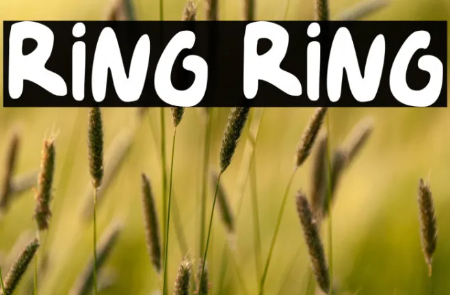 Ring Ring Example 3