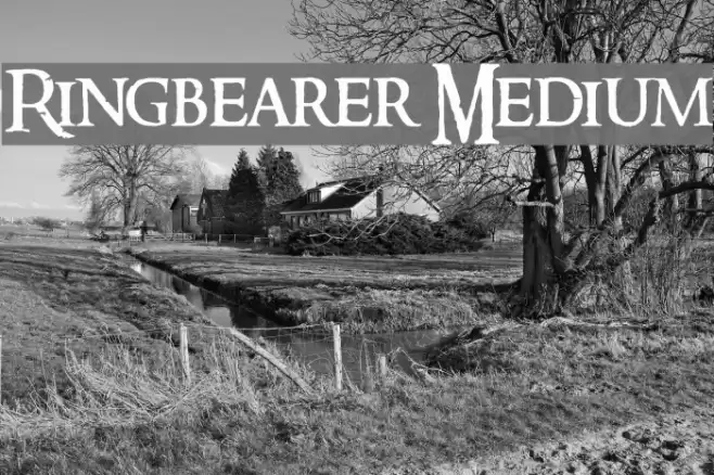 Ringbearer Medium Polices examples