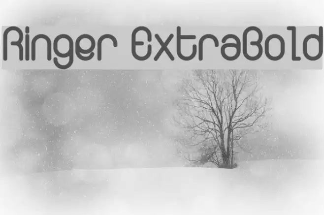 Ringer ExtraBold Font examples
