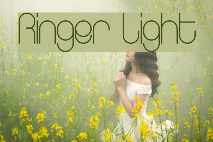 Ringer Light Example 1