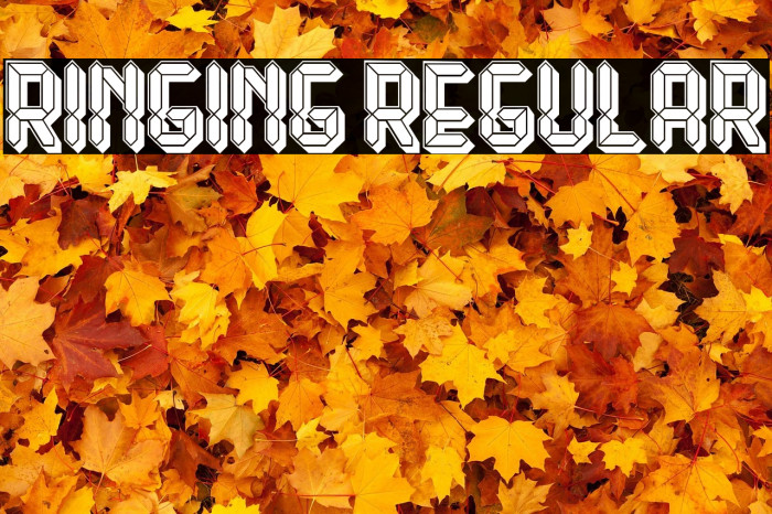 Ringing Regular Example 3