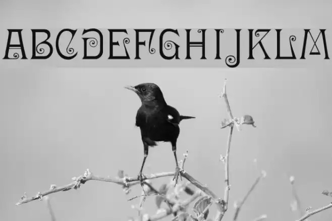 Ringlet-Regular Font examples