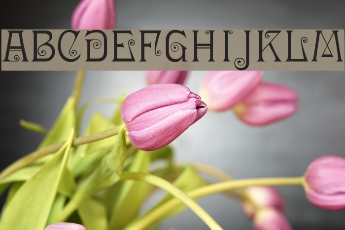 Ringlet-Regular Example 2