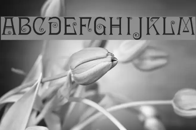 Ringlet-Regular Font examples