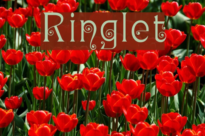 Ringlet Font examples