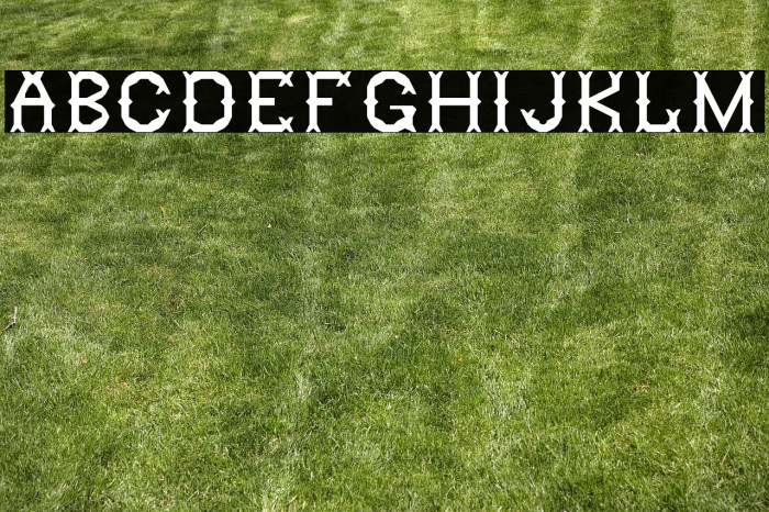 Ringling Regular Example 2