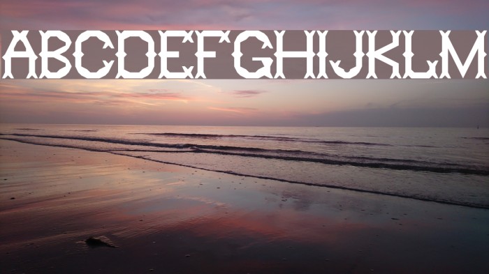Ringling Regular Font examples