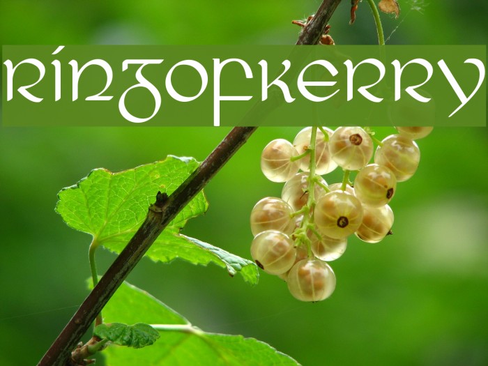 RingofKerry Font examples