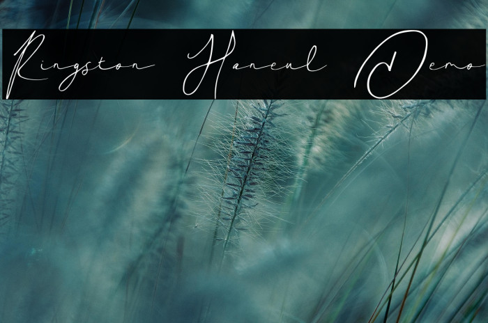 Ringston Haneul Demo Example 2