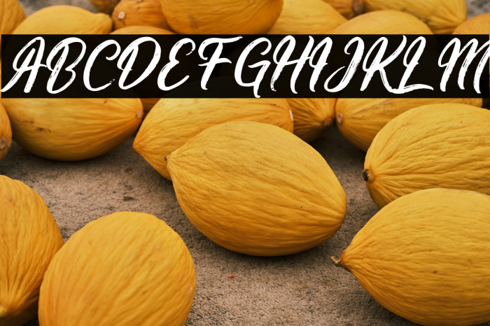 Ringtrack Demo Example 2