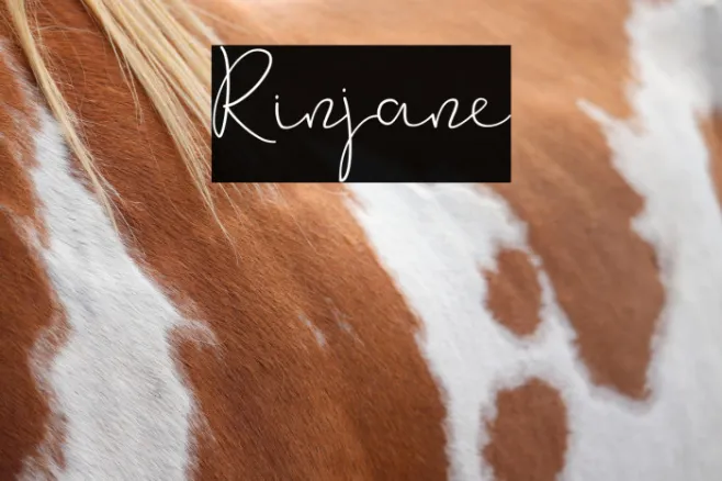 Rinjane Example 1