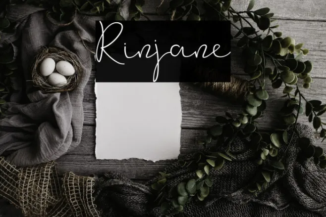 Rinjane Example 3