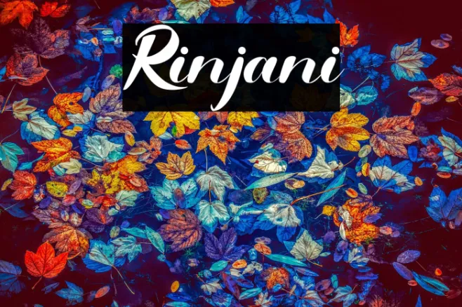 Rinjani Example 2