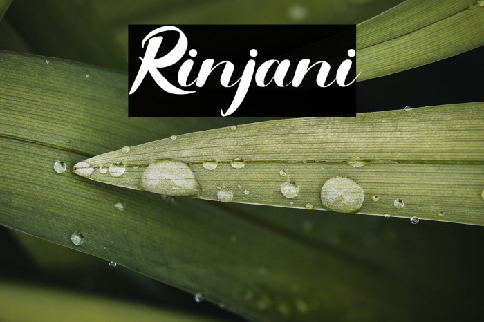 Rinjani Example 3