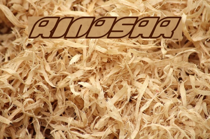 Rinosaur Font examples