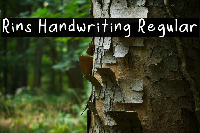 Rins Handwriting Regular Example 1