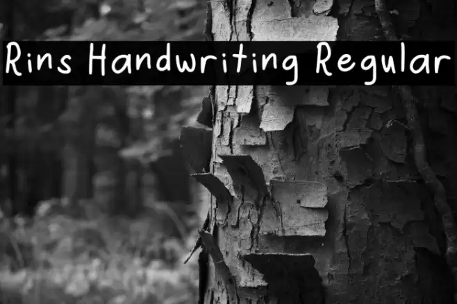 Rins Handwriting Regular Font examples