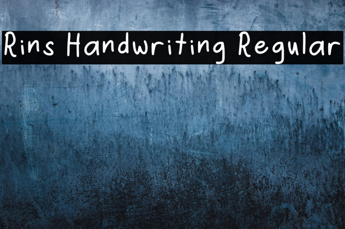 Rins Handwriting Regular Example 2