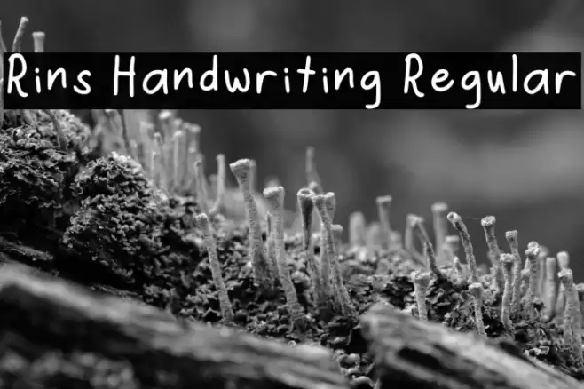 Rins Handwriting Regular Font examples