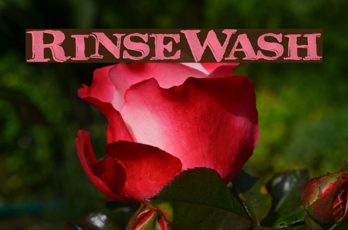RinseWash Font examples