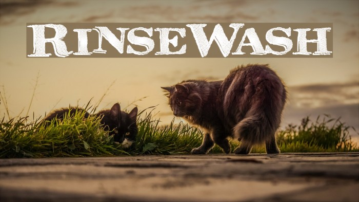 RinseWash Font examples