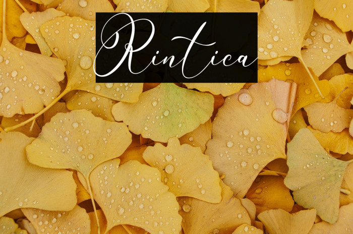 Rintica Example 1
