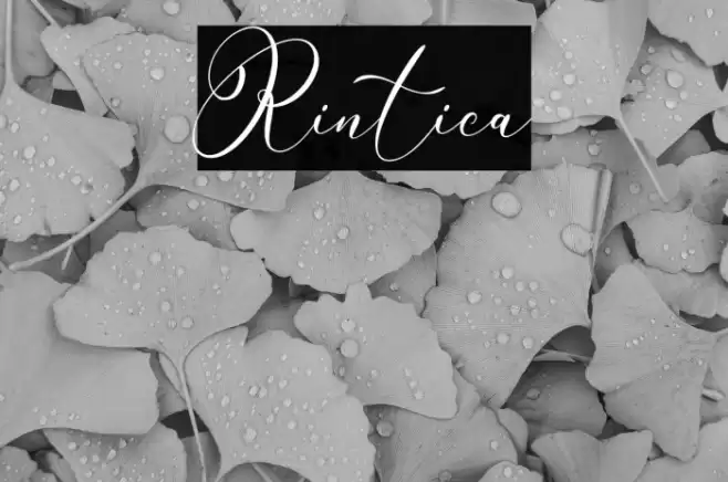 Rintica Font examples