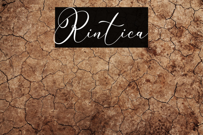Rintica Example 2
