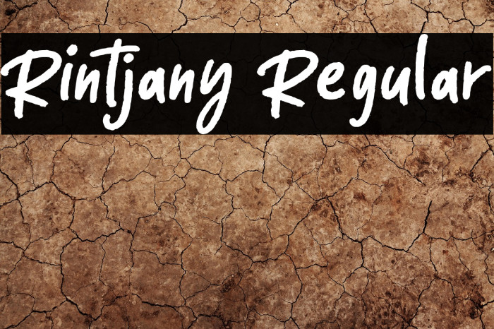 Rintjany Regular Example 2