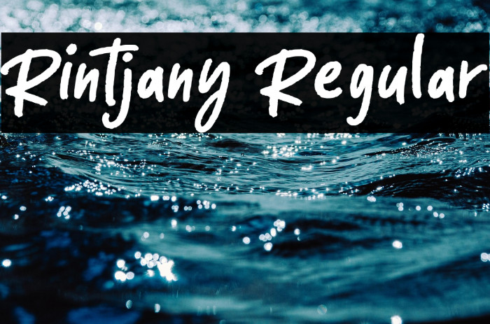 Rintjany Regular Example 3